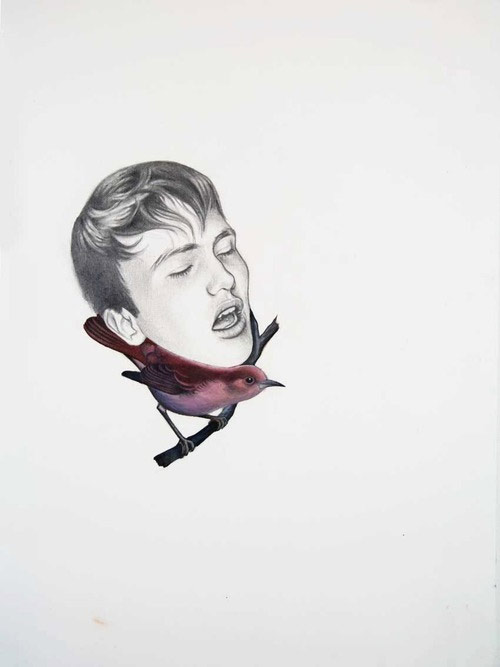 illustration illustrator luca mantovanelli drawings