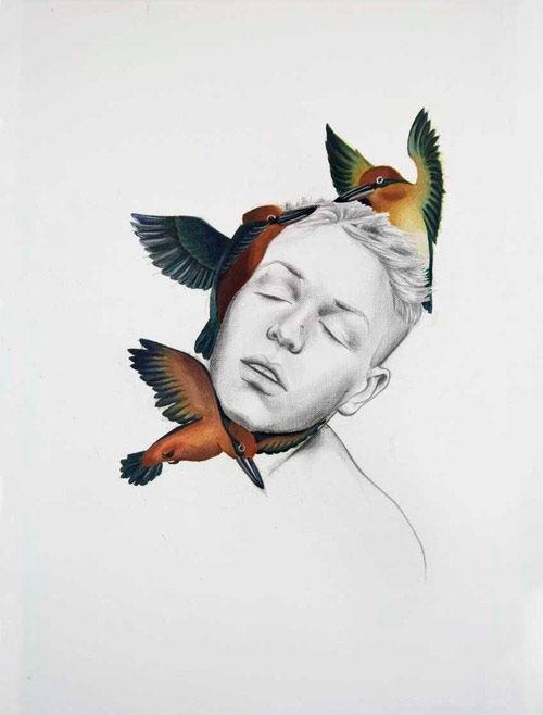 illustration illustrator luca mantovanelli drawings