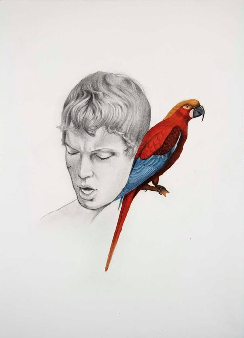illustration illustrator luca mantovanelli drawings