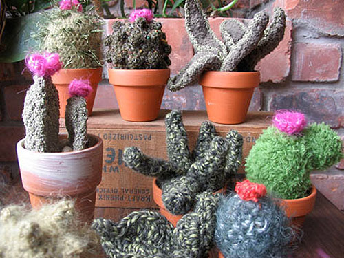 Crochet cactus by Shannon Gerard