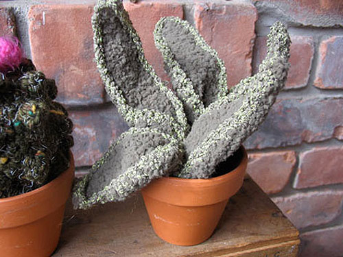 Crochet cactus by Shannon Gerard
