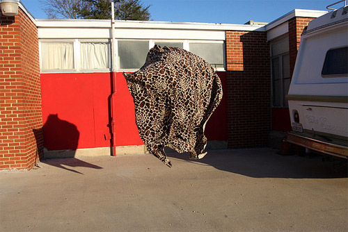 photographer photography william hundley