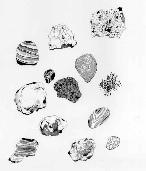 drawings by artist caitlin foster
