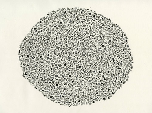 drawings by artist caitlin foster