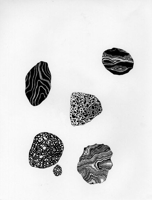 drawings by artist caitlin foster