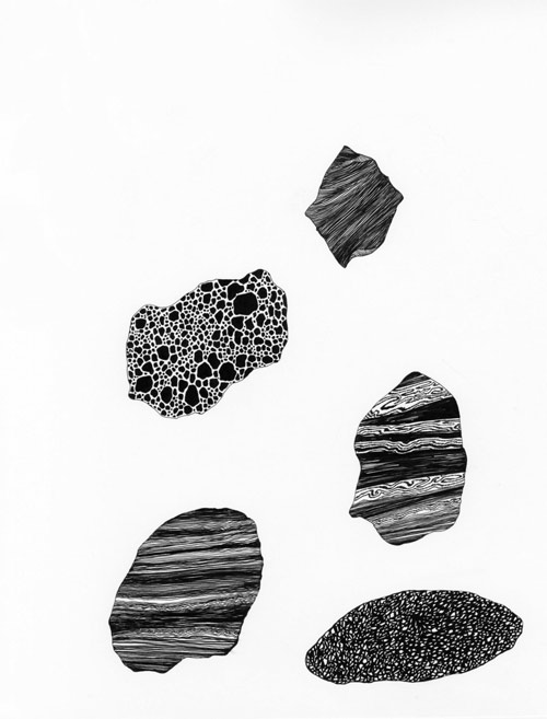 drawings by artist caitlin foster