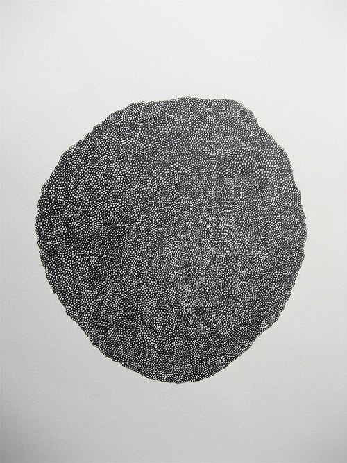 drawings by artist caitlin foster