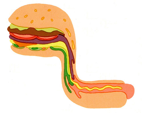 graphic designer illustrator illustration tim lahan