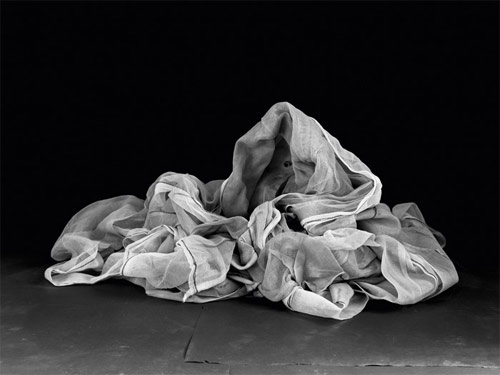 Photographer Bianca Brunner photography