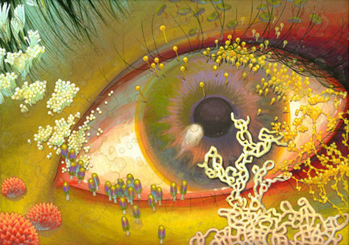 artist painter painting fuco ueda
