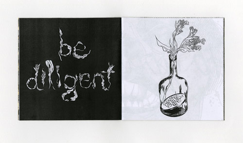 illustrator illustration hannah k lee