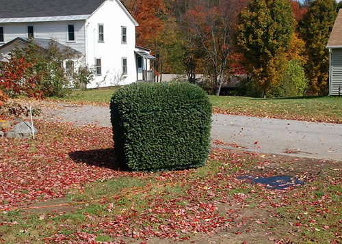 justin shull projects