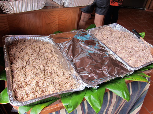 kamea hadar birthday luau hawaii