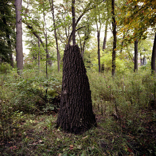 photographer photography brendan george ko