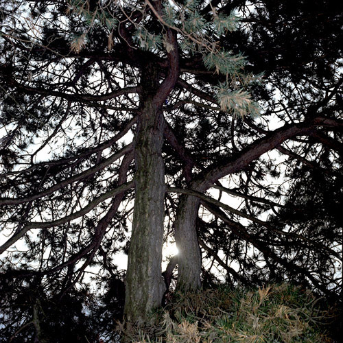 photographer photography brendan george ko