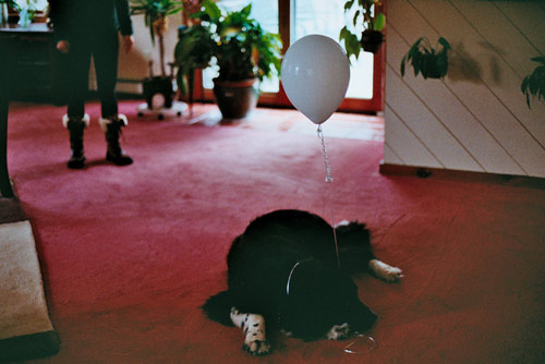 photographer photography elizabeth sarah hurowitz