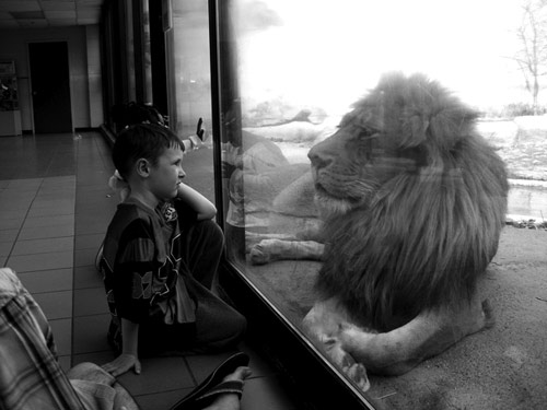 photographer photography elizabeth sarah hurowitz