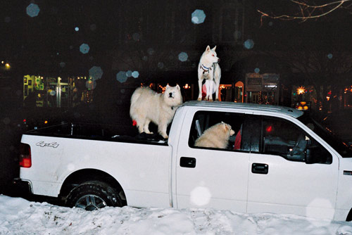 photographer photography elizabeth sarah hurowitz