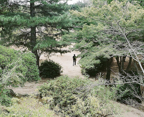photographer photography kiyoshi nakamura
