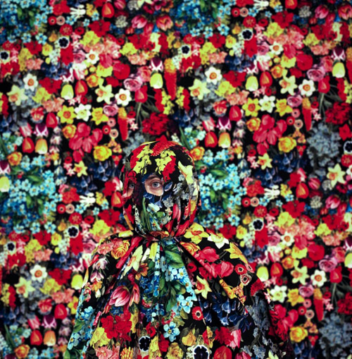 photographer annie collinge photography