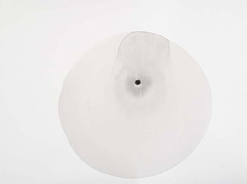 artist flora hitzing