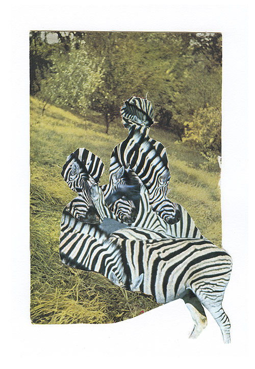 collages by artist laurie kang