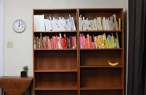 Organizing the Bookcase by Sean and Lisa Blonder Ohlenkamp