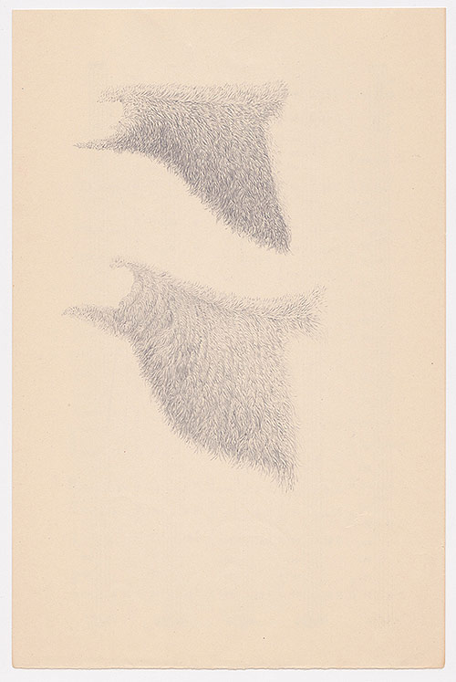 artist todd freeman etchings drawings