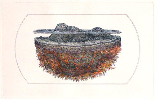 artist todd freeman etchings drawings