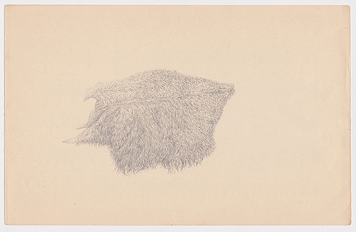 artist todd freeman etchings drawings