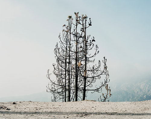 Photographer Christian Weber photography