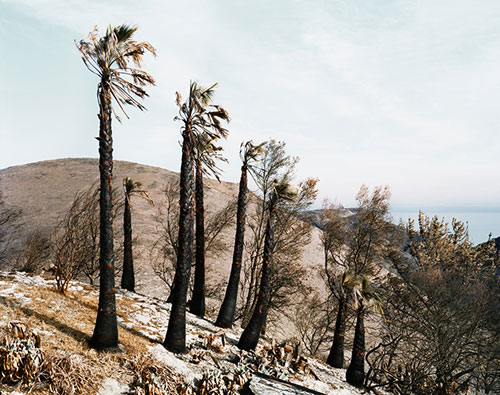 Photographer Christian Weber photography