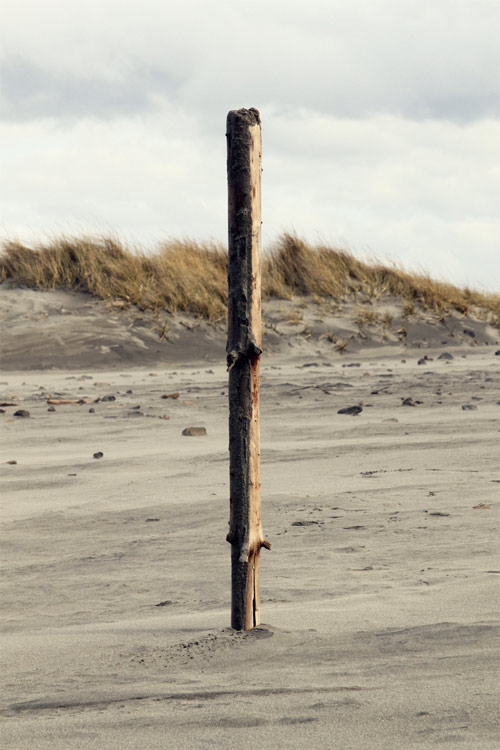 photographer photography delaney allen