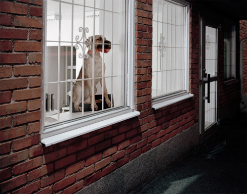 photographer fredrik berglund photography