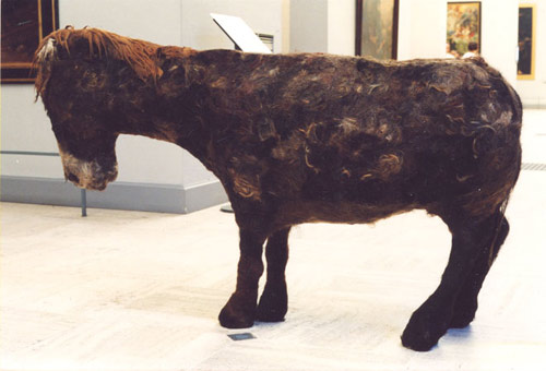 sculptures by artist Lawrence Deunff
