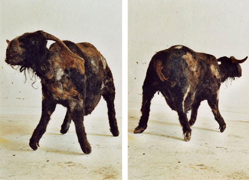sculptures by artist Lawrence Deunff