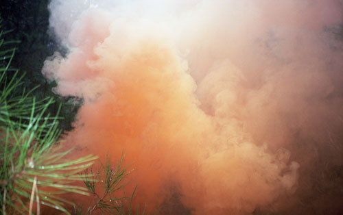 Photographer Bea De Giacomo photography
