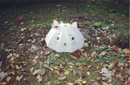 Photographer Bea De Giacomo photography