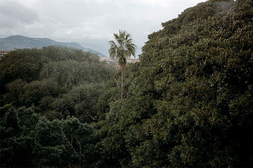 Photographer Bea De Giacomo photography