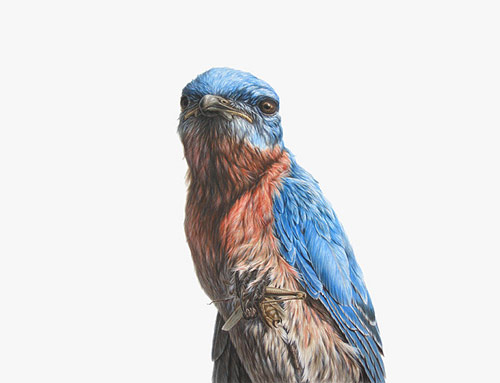 Artist George Boorujy
