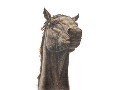 Artist George Boorujy