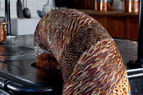 feather sculptures by artist Kate MccGwire
