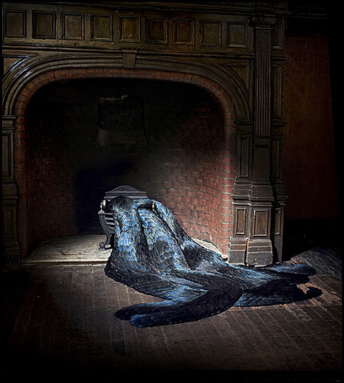 feather sculptures by artist Kate MccGwire