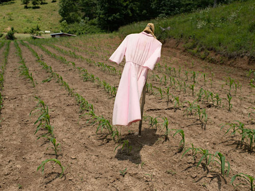 Photographer Lucas Foglia photography