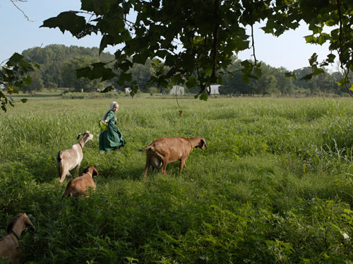Photographer Lucas Foglia photography