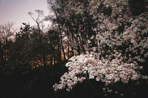 Photographer Charlie Engman photography