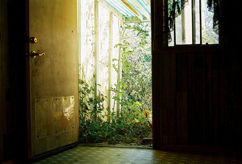 Photographer Charlie Engman photography