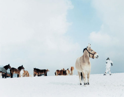 Photographer Karin Apollonia Muller