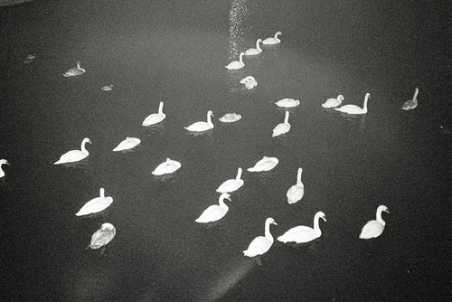 Photographer Marija Knezevic photography