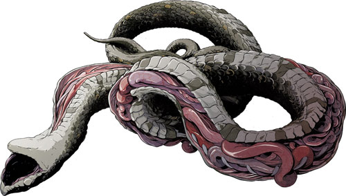 Illustrator Matthew Woodson illustration